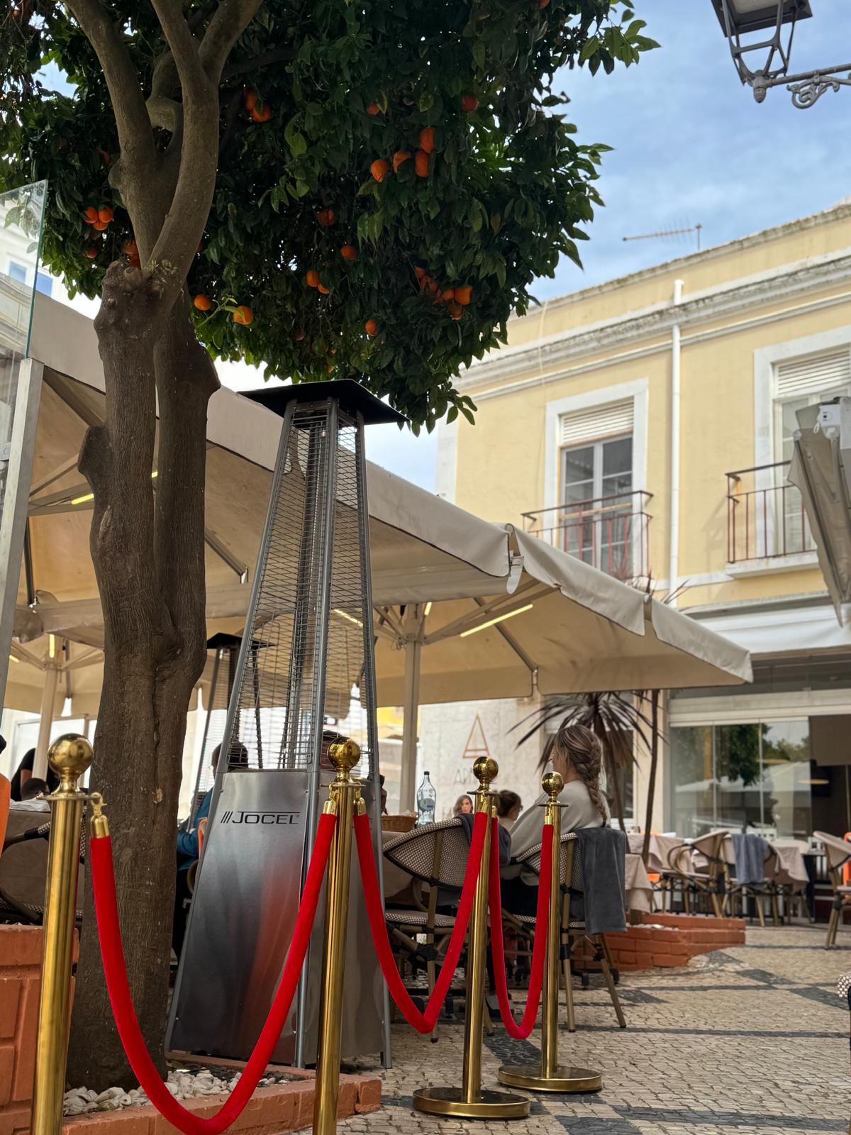 Esplanada do Abrigo na Praça Marquês de Pombal — laranjeira e área de mesas